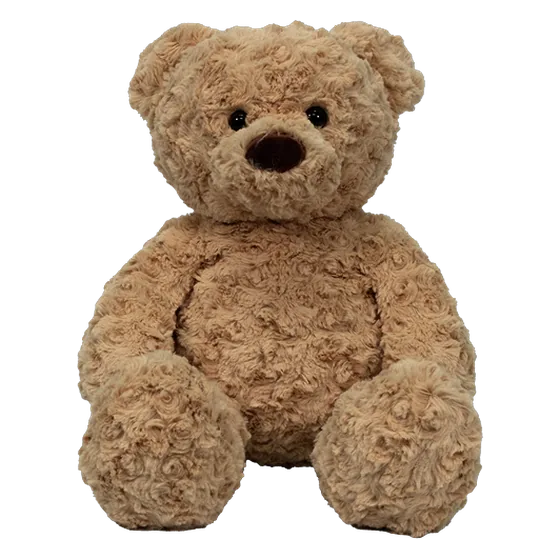 Bear, a curly tan teddy bear