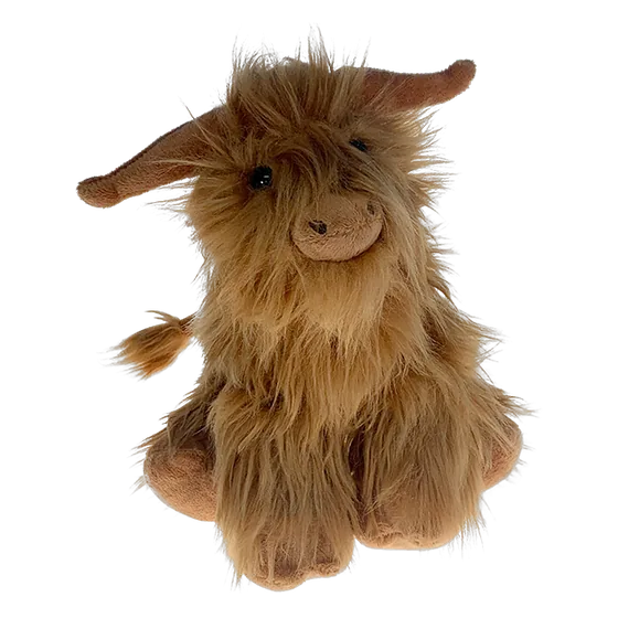 Cow, a shaggy highland cow